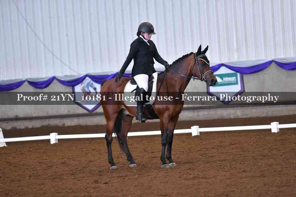 Proof Number 21YN_10181