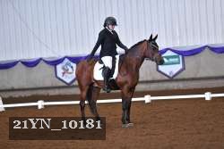 21YN_10181 thumbnail