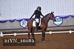 21YN_10182 thumbnail