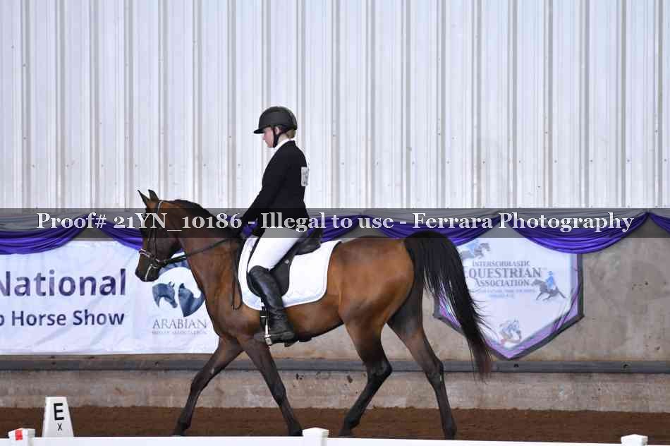 Proof Number 21YN_10186