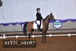 21YN_10187 thumbnail