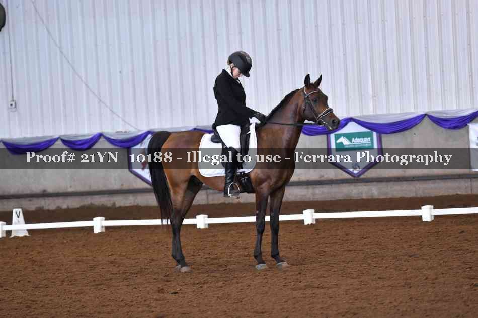 Proof Number 21YN_10188