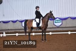 21YN_10189 thumbnail