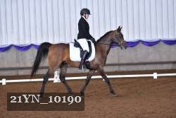 21YN_10190 thumbnail