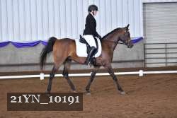 21YN_10191 thumbnail