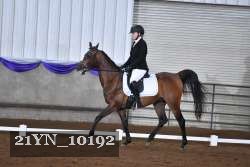 21YN_10192 thumbnail