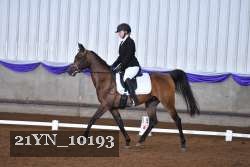 21YN_10193 thumbnail