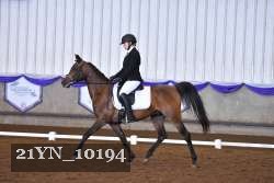 21YN_10194 thumbnail
