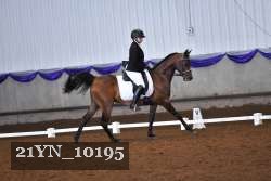21YN_10195 thumbnail