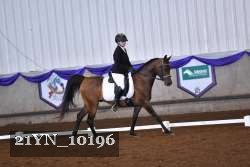 21YN_10196 thumbnail