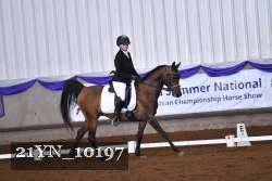 21YN_10197 thumbnail