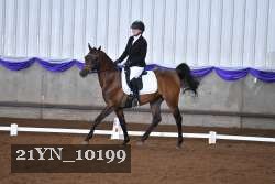 21YN_10199 thumbnail