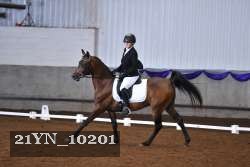 21YN_10201 thumbnail