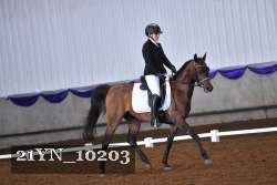 21YN_10203 thumbnail
