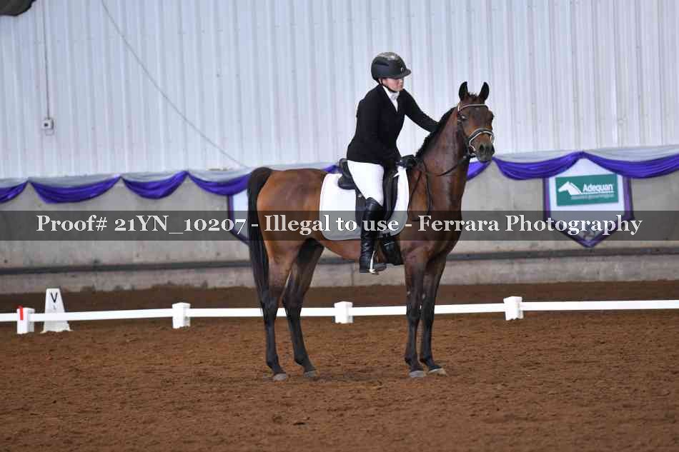 Proof Number 21YN_10207