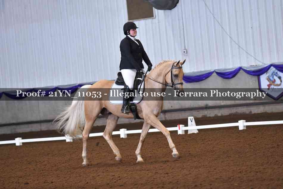 Proof Number 21YN_11053