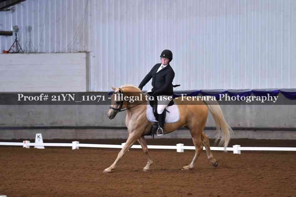 Proof Number 21YN_11071