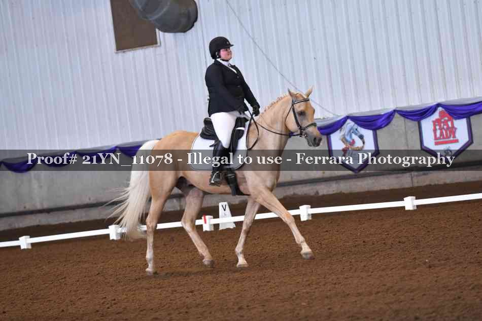 Proof Number 21YN_11078