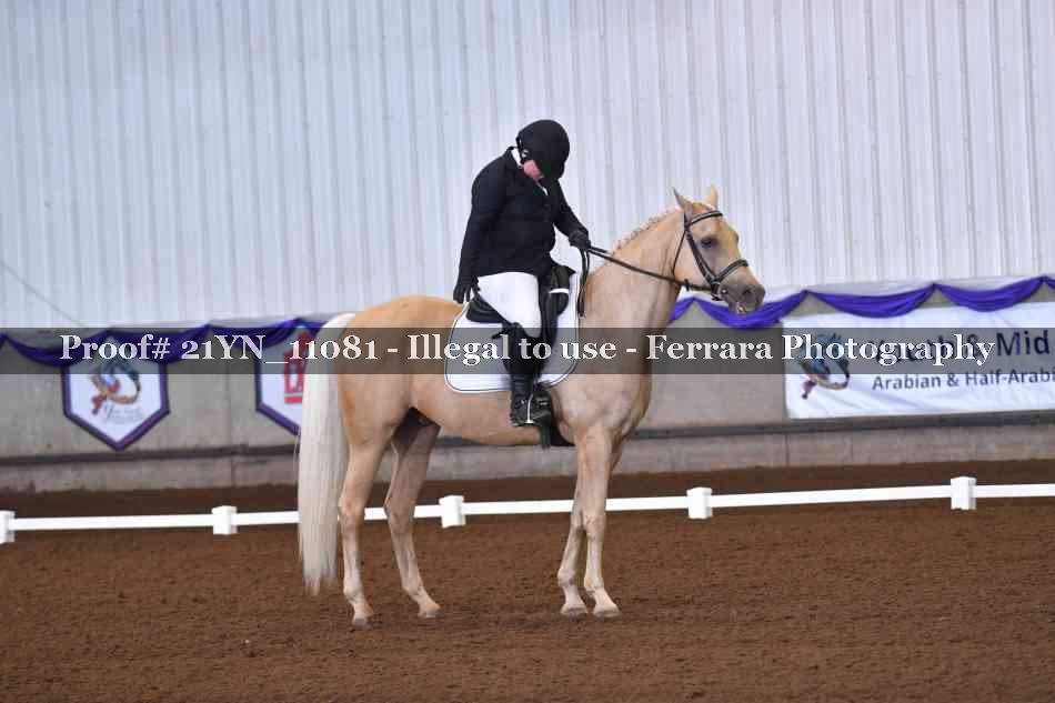 Proof Number 21YN_11081
