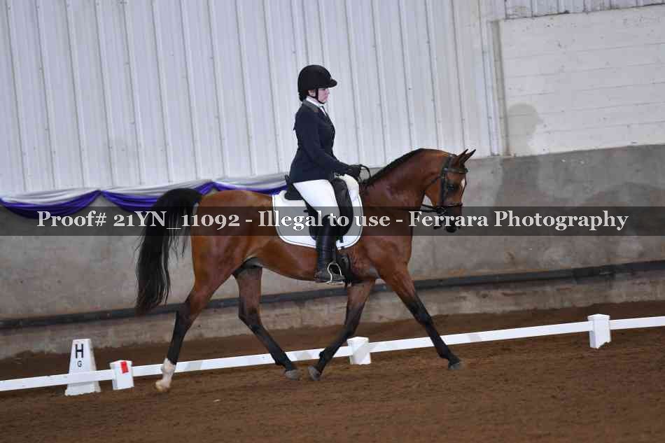 Proof Number 21YN_11092