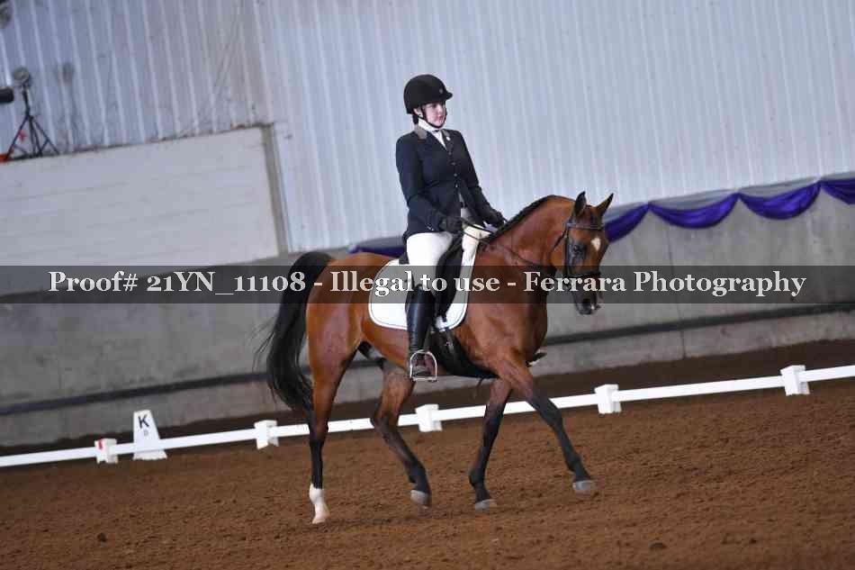 Proof Number 21YN_11108