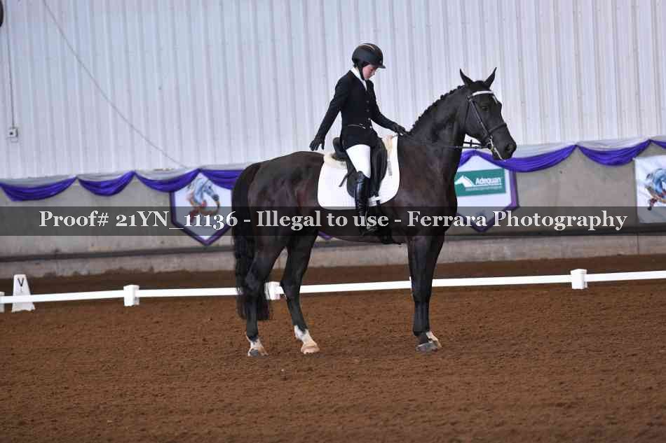 Proof Number 21YN_11136