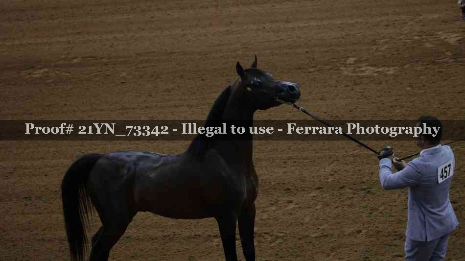 Proof Number 21YN_73342