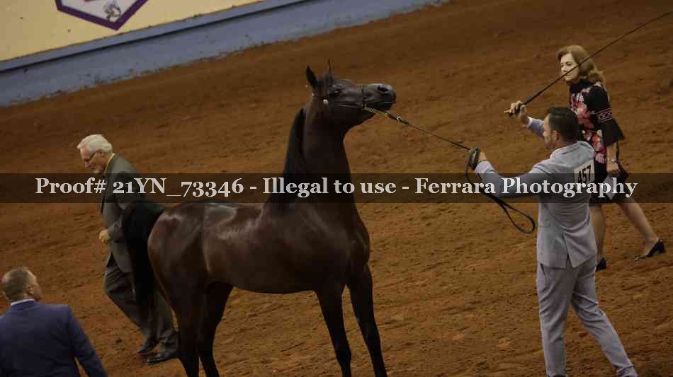 Proof Number 21YN_73346