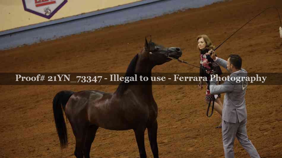 Proof Number 21YN_73347