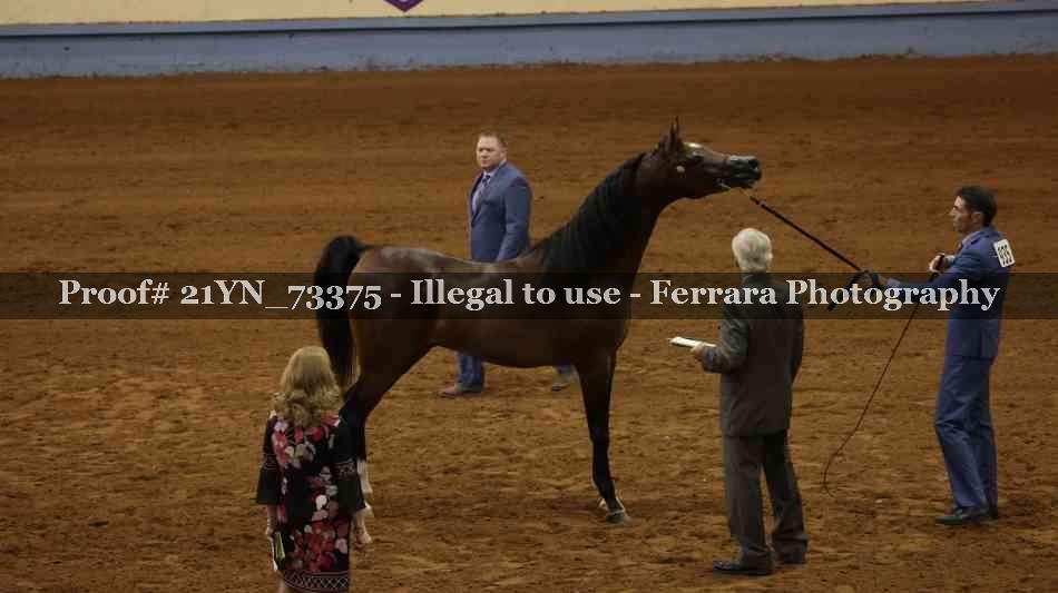 Proof Number 21YN_73375