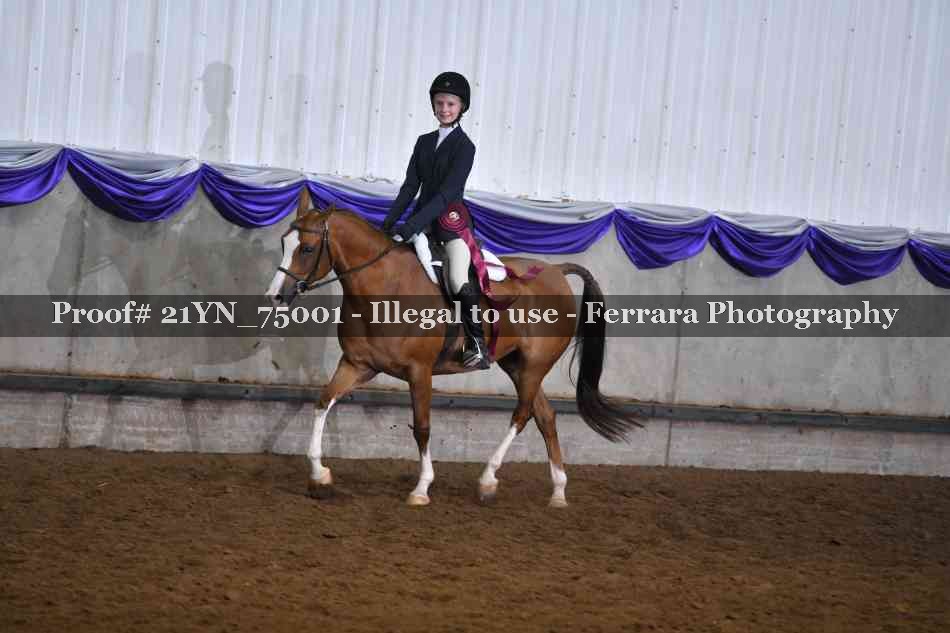 Proof Number 21YN_75001