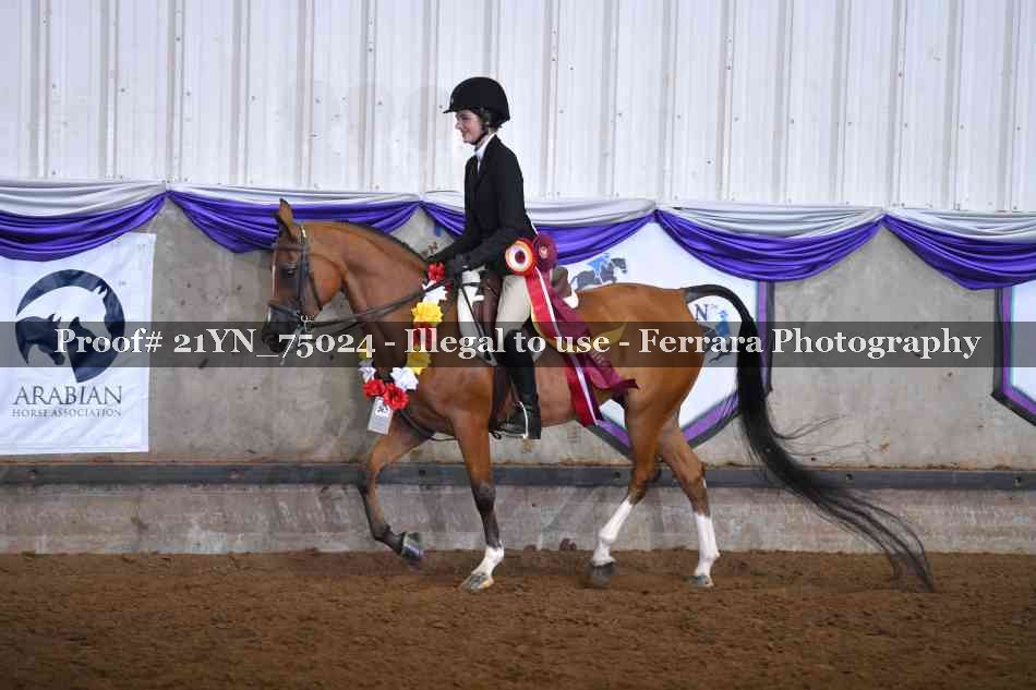 Proof Number 21YN_75024