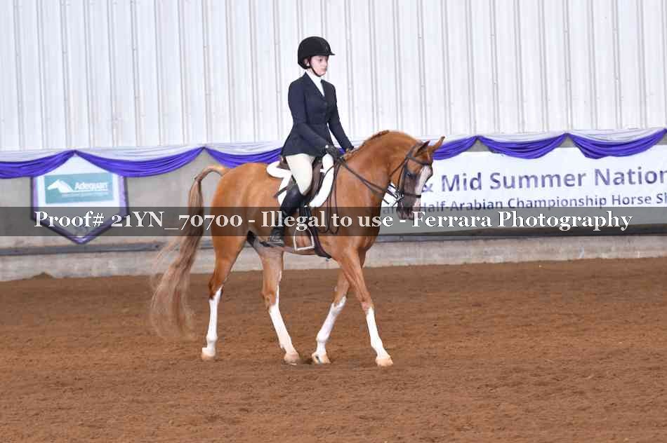 Proof Number 21YN_70700