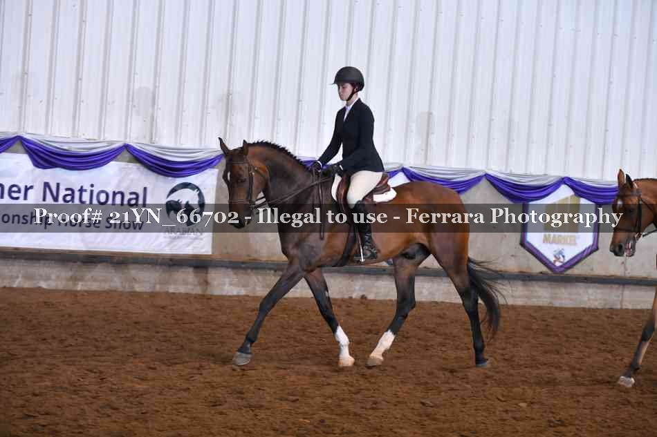 Proof Number 21YN_66702