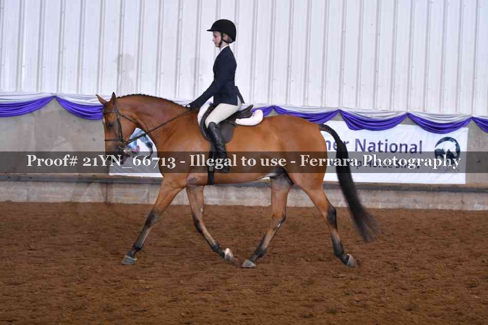 Proof Number 21YN_66713