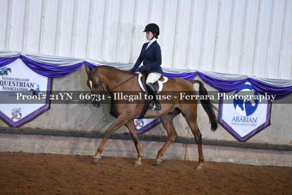 Proof Number 21YN_66731