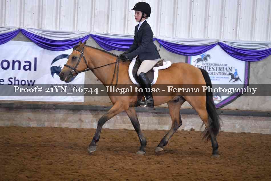 Proof Number 21YN_66744