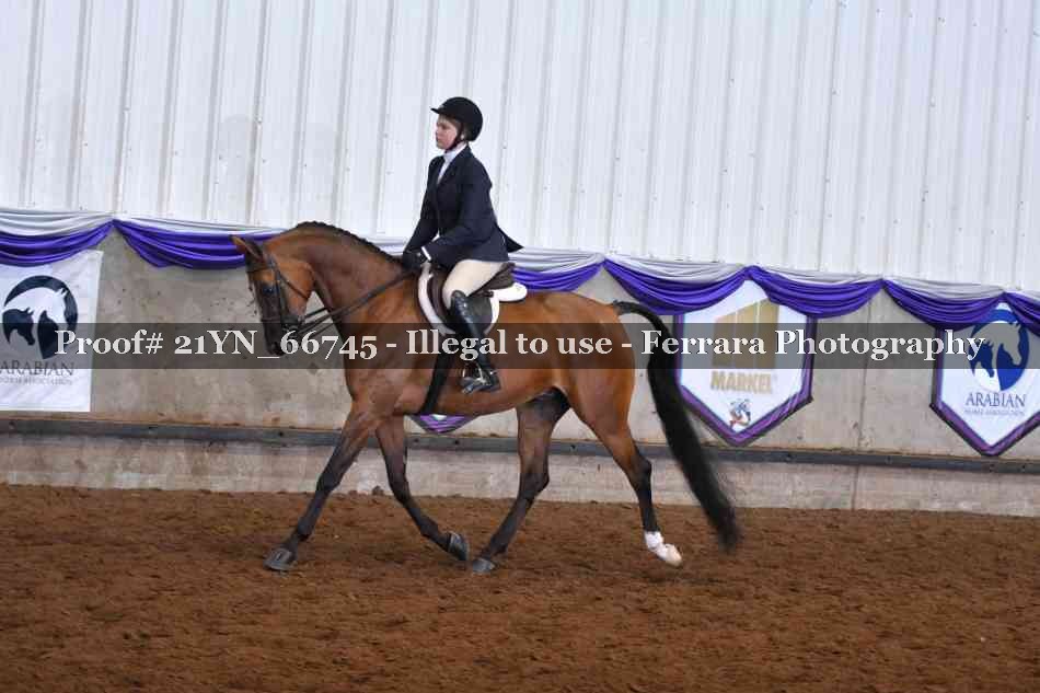 Proof Number 21YN_66745