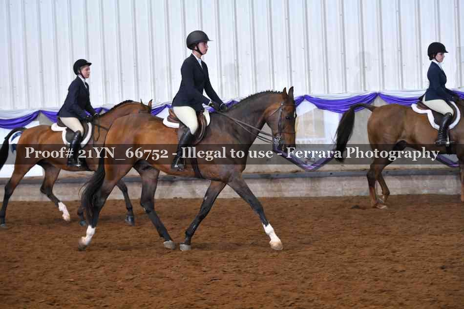 Proof Number 21YN_66752