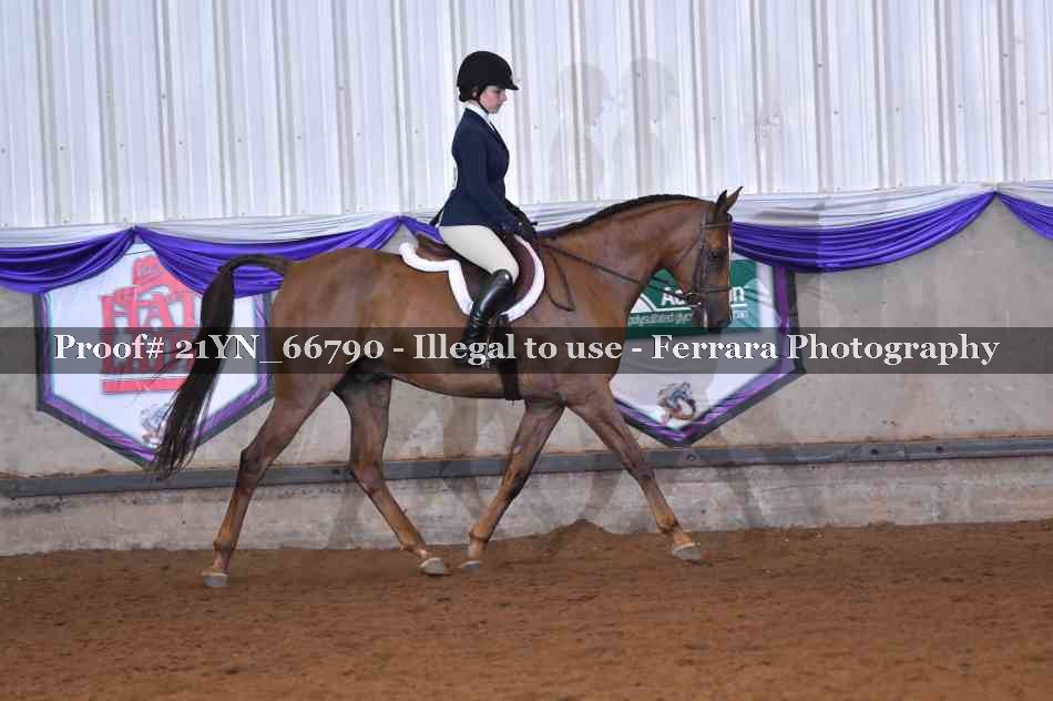 Proof Number 21YN_66790