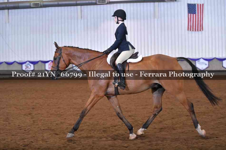 Proof Number 21YN_66799