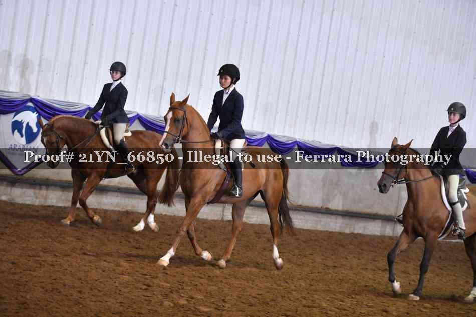 Proof Number 21YN_66850