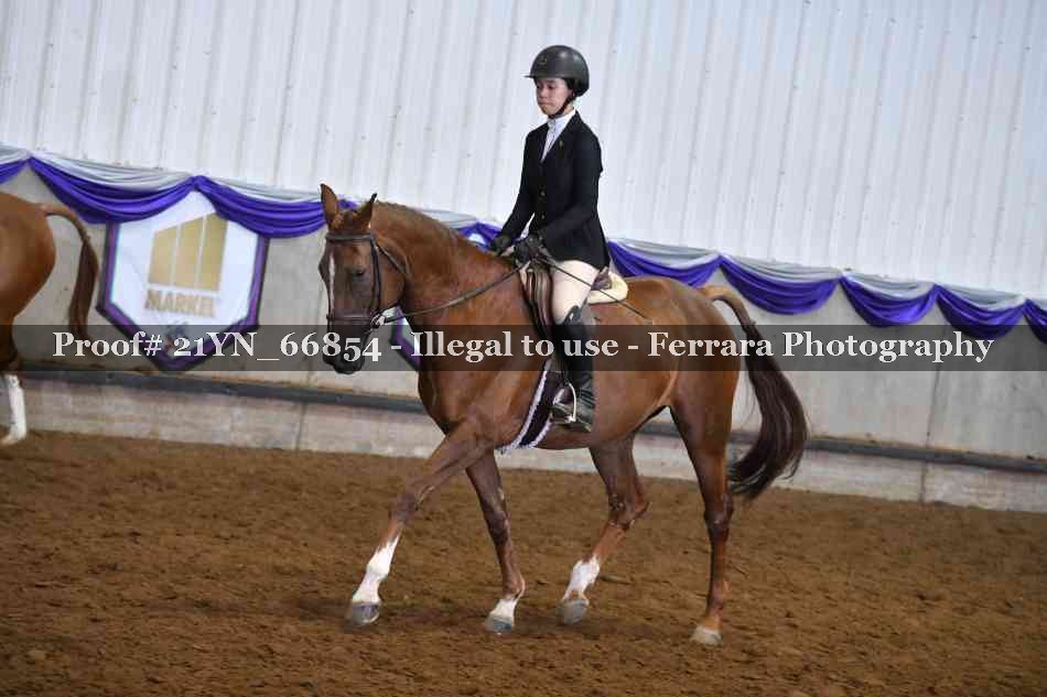Proof Number 21YN_66854
