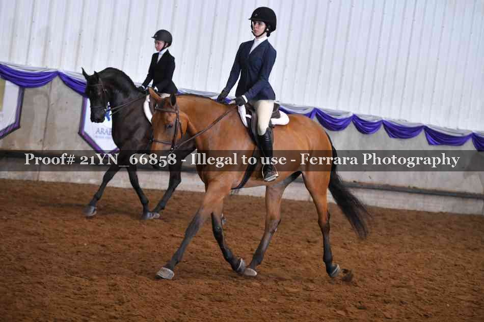 Proof Number 21YN_66858