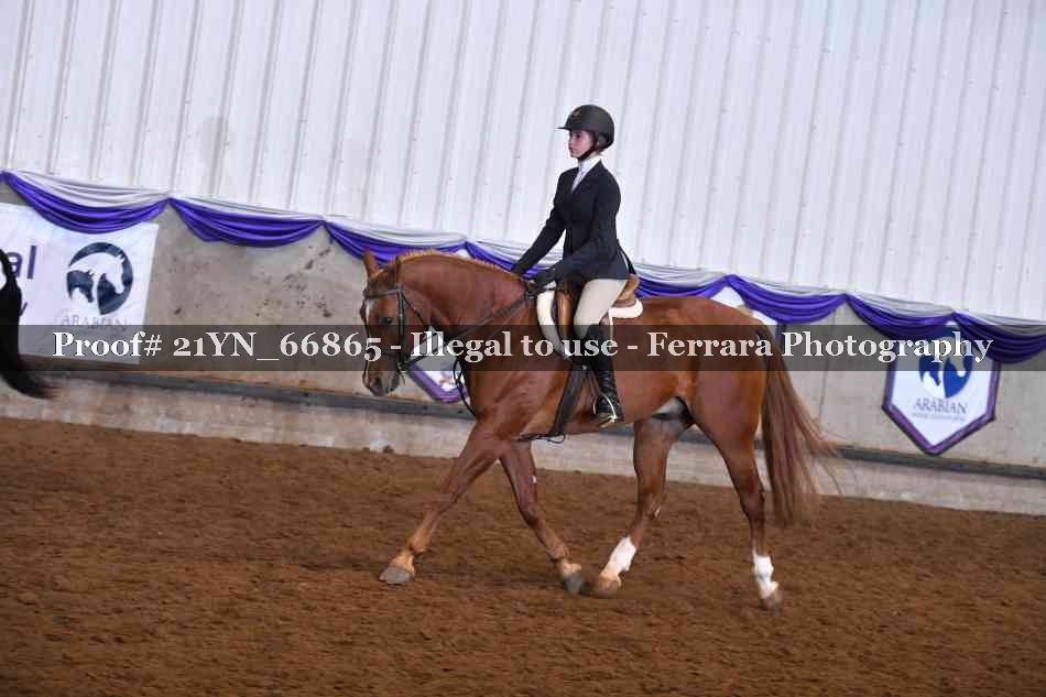 Proof Number 21YN_66865