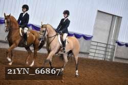 21YN_66867 thumbnail