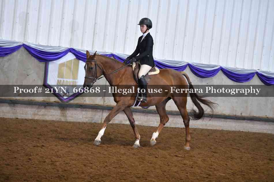 Proof Number 21YN_66868