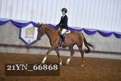 21YN_66868 thumbnail