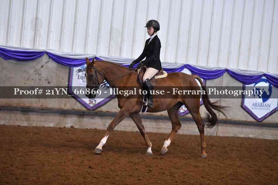 Proof Number 21YN_66869