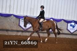 21YN_66869 thumbnail